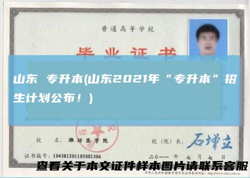 山东专升本(山东2021年“专升本”招生计划公布！)