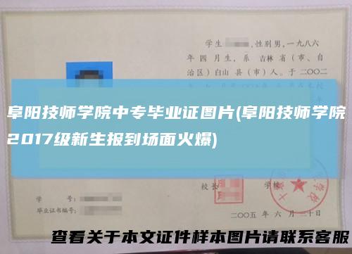 阜阳技师学院中专毕业证图片(阜阳技师学院2017级新生报到场面火爆)