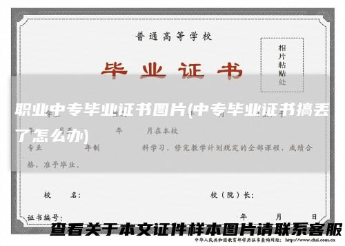 职业中专毕业证书图片(中专毕业证书搞丢了怎么办)