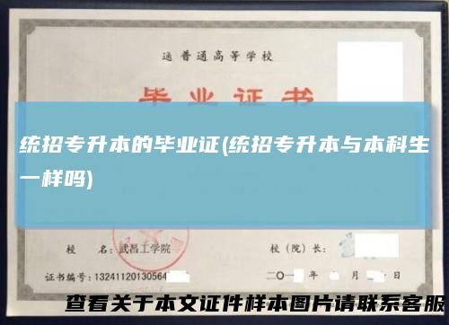 统招专升本的毕业证(统招专升本与本科生一样吗)