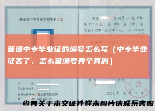 普通中专毕业证的编号怎么写（中专毕业证丢了，怎么查编号弄个真的）