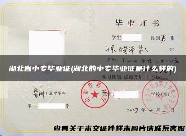 湖北省中专毕业证(湖北的中专毕业证是什么样的)