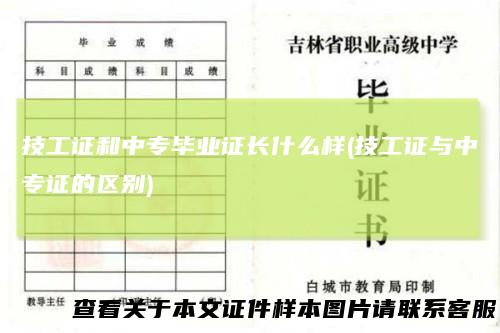技工证和中专毕业证长什么样(技工证与中专证的区别)