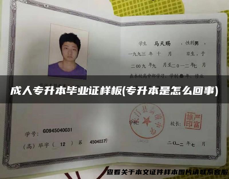 成人专升本毕业证样板(专升本是怎么回事)