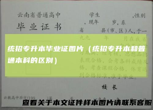 统招专升本毕业证图片（统招专升本和普通本科的区别）