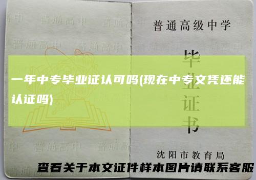 一年中专毕业证认可吗(现在中专文凭还能认证吗)