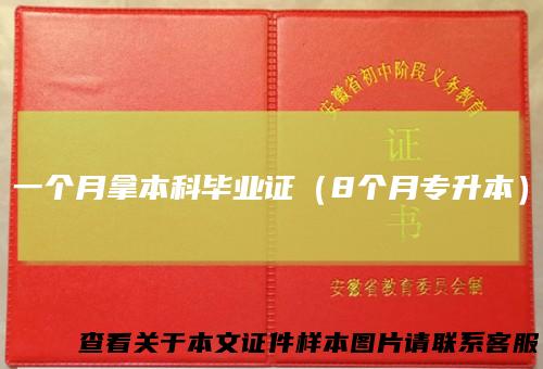 一个月拿本科毕业证（8个月专升本）
