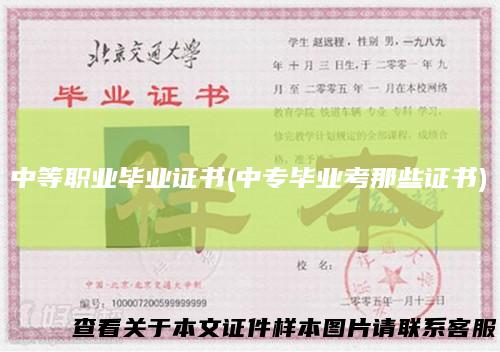 中等职业毕业证书(中专毕业考那些证书)