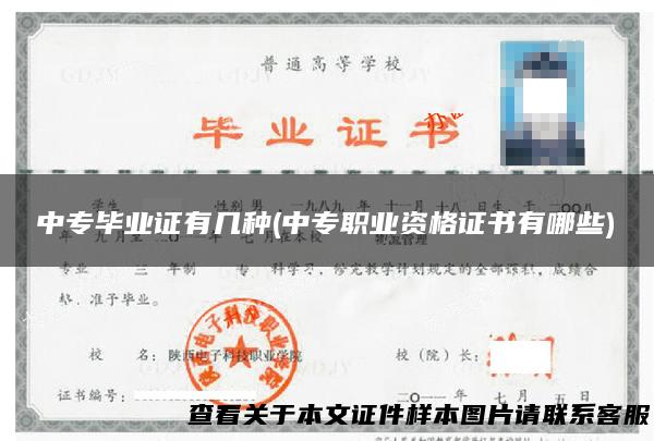 中专毕业证有几种(中专职业资格证书有哪些)