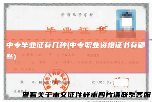 中专毕业证有几种(中专职业资格证书有哪些)