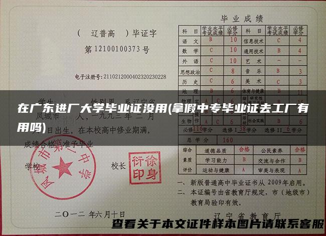 在广东进厂大学毕业证没用(拿假中专毕业证去工厂有用吗)