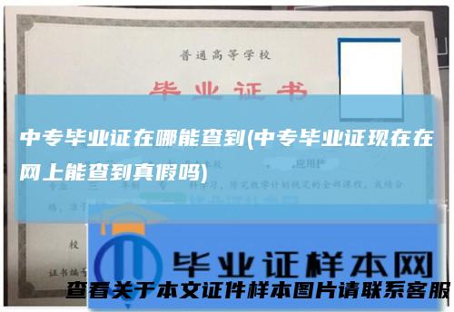 中专毕业证在哪能查到(中专毕业证现在在网上能查到真假吗)