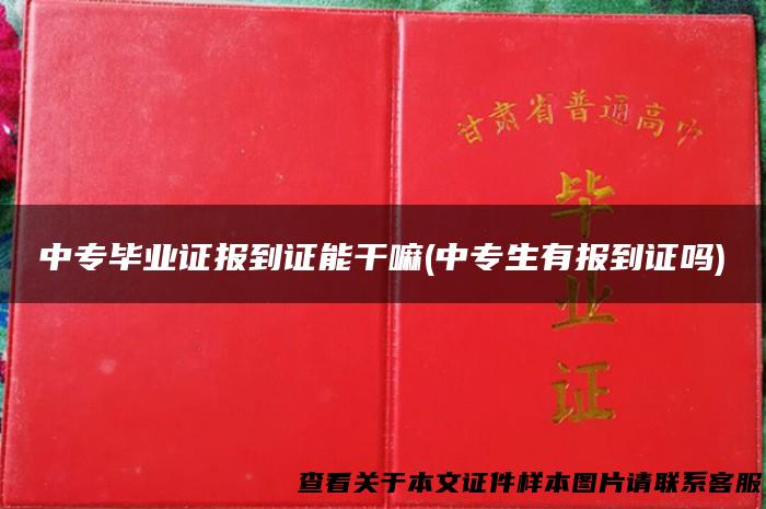 中专毕业证报到证能干嘛(中专生有报到证吗)