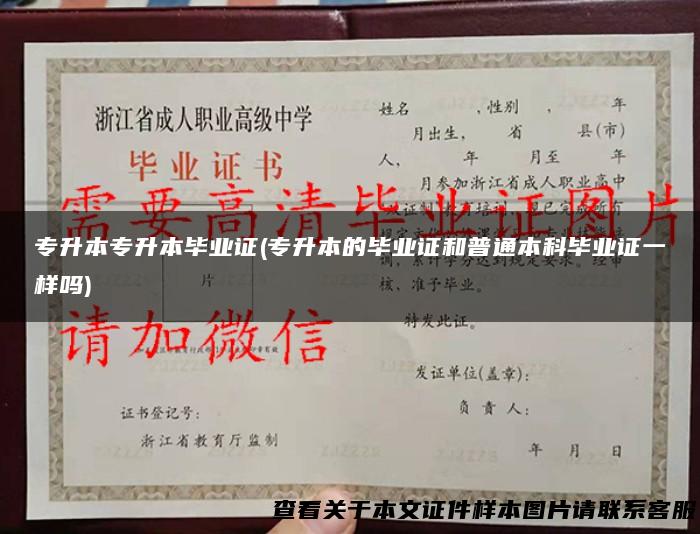 专升本专升本毕业证(专升本的毕业证和普通本科毕业证一样吗)