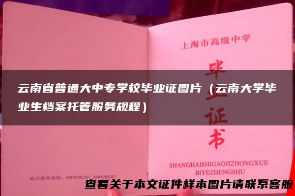 云南省普通大中专学校毕业证图片（云南大学毕业生档案托管服务规程）
