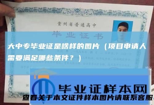 大中专毕业证是啥样的图片（项目申请人需要满足哪些条件？）