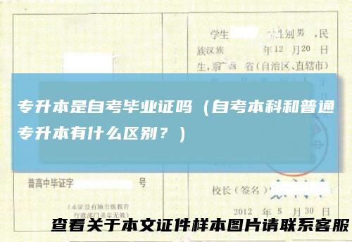 专升本是自考毕业证吗（自考本科和普通专升本有什么区别？）