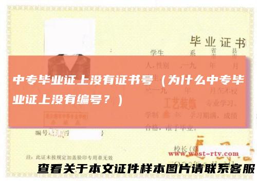 中专毕业证上没有证书号（为什么中专毕业证上没有编号？）