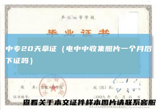 中专20天拿证（电中中收集照片一个月后下证吗）