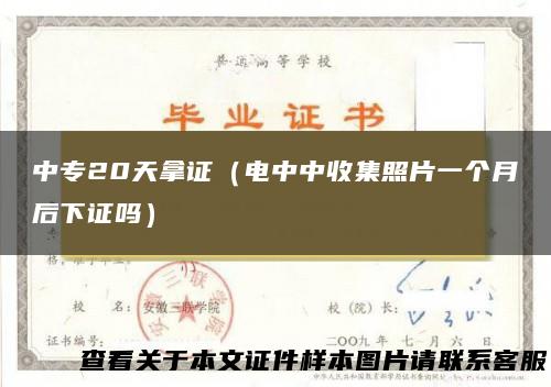 中专20天拿证（电中中收集照片一个月后下证吗）
