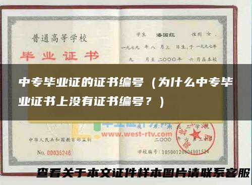 中专毕业证的证书编号（为什么中专毕业证书上没有证书编号？）