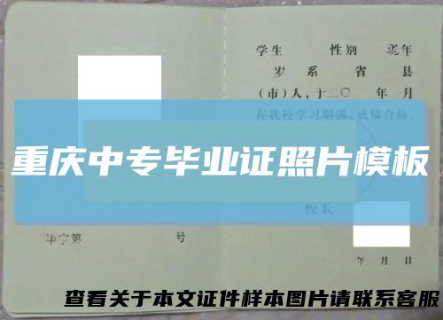 重庆中专毕业证照片模板