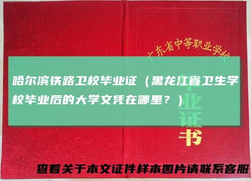 哈尔滨铁路卫校毕业证（黑龙江省卫生学校毕业后的大学文凭在哪里？）
