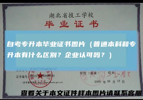 自考专升本毕业证书图片（普通本科和专升本有什么区别？企业认可吗？）