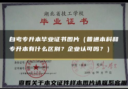 自考专升本毕业证书图片（普通本科和专升本有什么区别？企业认可吗？）