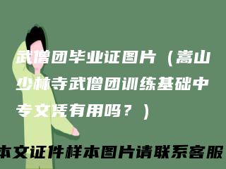 武僧团毕业证图片（嵩山少林寺武僧团训练基础中专文凭有用吗？）