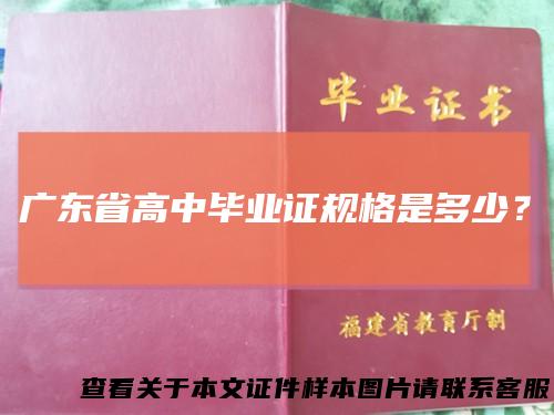 广东省高中毕业证规格是多少？