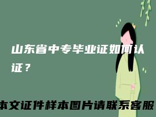 山东省中专毕业证如何认证？