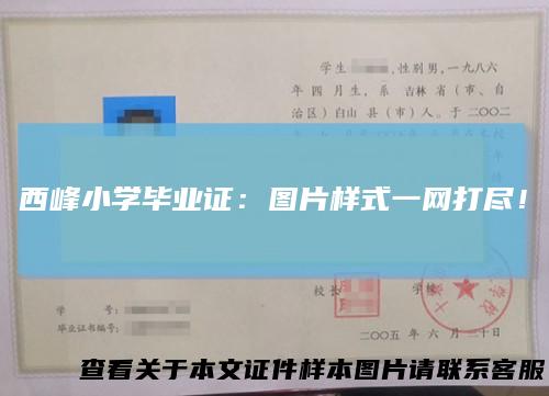 西峰小学毕业证：图片样式一网打尽！