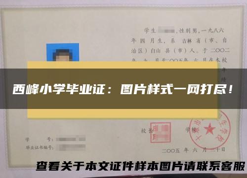 西峰小学毕业证：图片样式一网打尽！