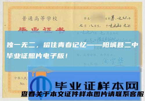 独一无二，留住青春记忆——阳城县二中毕业证照片电子版！