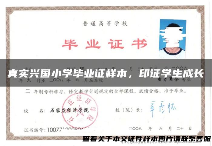 真实兴国小学毕业证样本，印证学生成长
