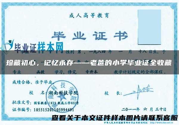 珍藏初心，记忆永存——老爸的小学毕业证全收藏