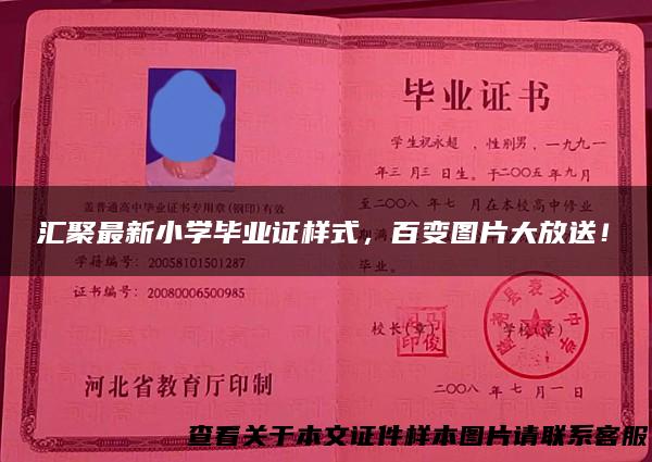 汇聚最新小学毕业证样式，百变图片大放送！