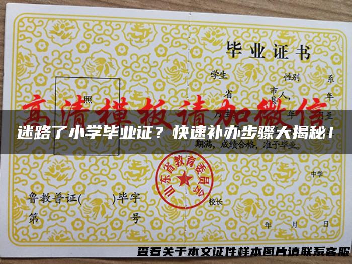 迷路了小学毕业证？快速补办步骤大揭秘！