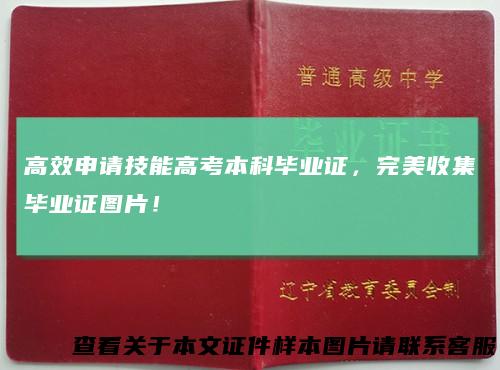 高效申请技能高考本科毕业证，完美收集毕业证图片！