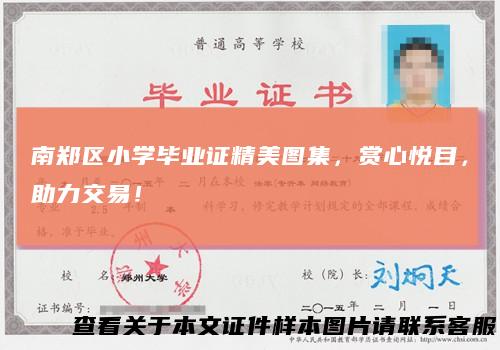 南郑区小学毕业证精美图集，赏心悦目，助力交易！