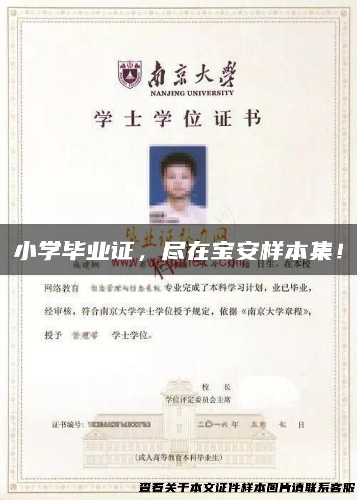 小学毕业证，尽在宝安样本集！