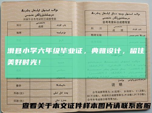 滑县小学六年级毕业证，典雅设计，留住美好时光！