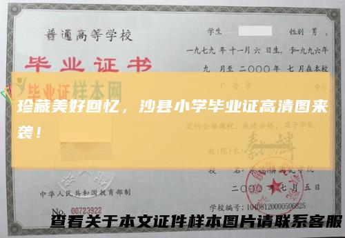 珍藏美好回忆，沙县小学毕业证高清图来袭！