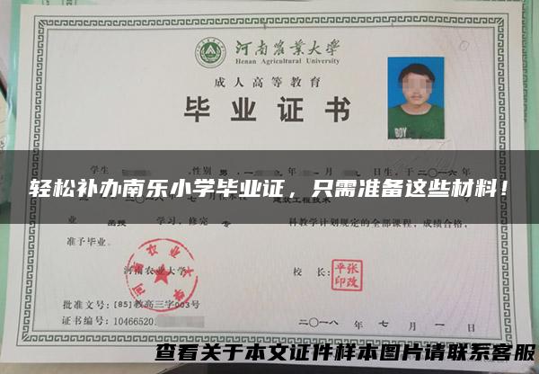 轻松补办南乐小学毕业证，只需准备这些材料！