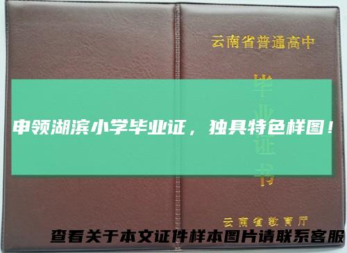 申领湖滨小学毕业证，独具特色样图！