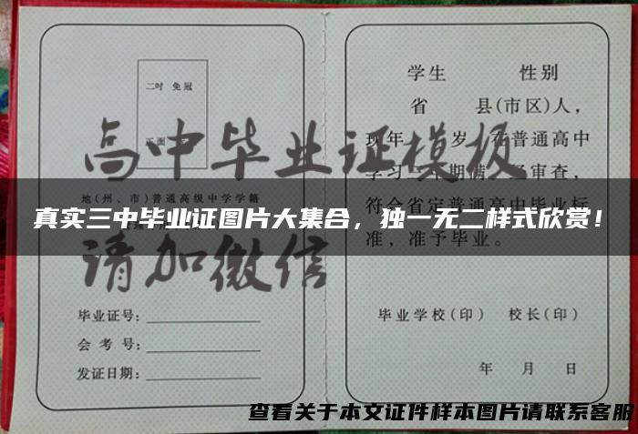 真实三中毕业证图片大集合，独一无二样式欣赏！
