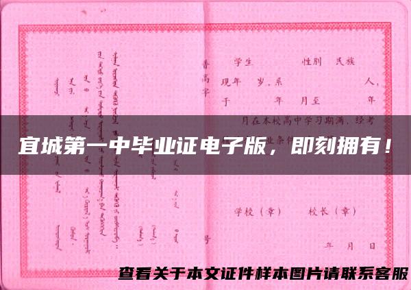 宜城第一中毕业证电子版，即刻拥有！