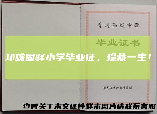 邛崃固驿小学毕业证，珍藏一生！
