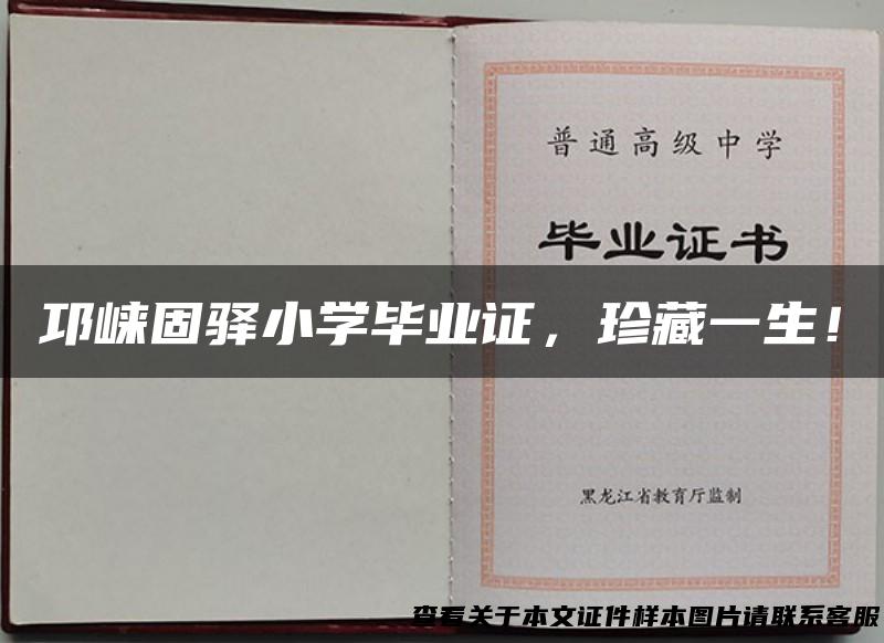 邛崃固驿小学毕业证，珍藏一生！